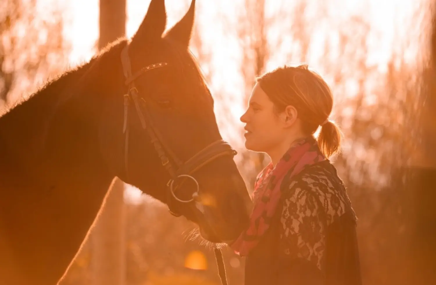 Entspannungstrainerin Saskia Skopp – Pferd